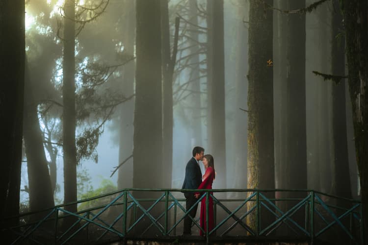 SWASTIK WEDDING PLANNER image 8