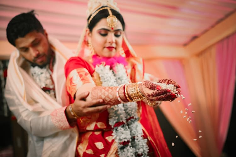 PIPBROADCAST image 11