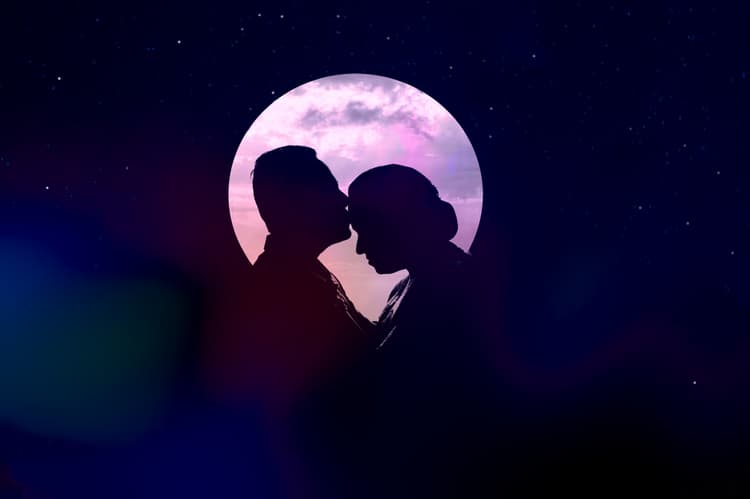 Aranyak Photography image 9