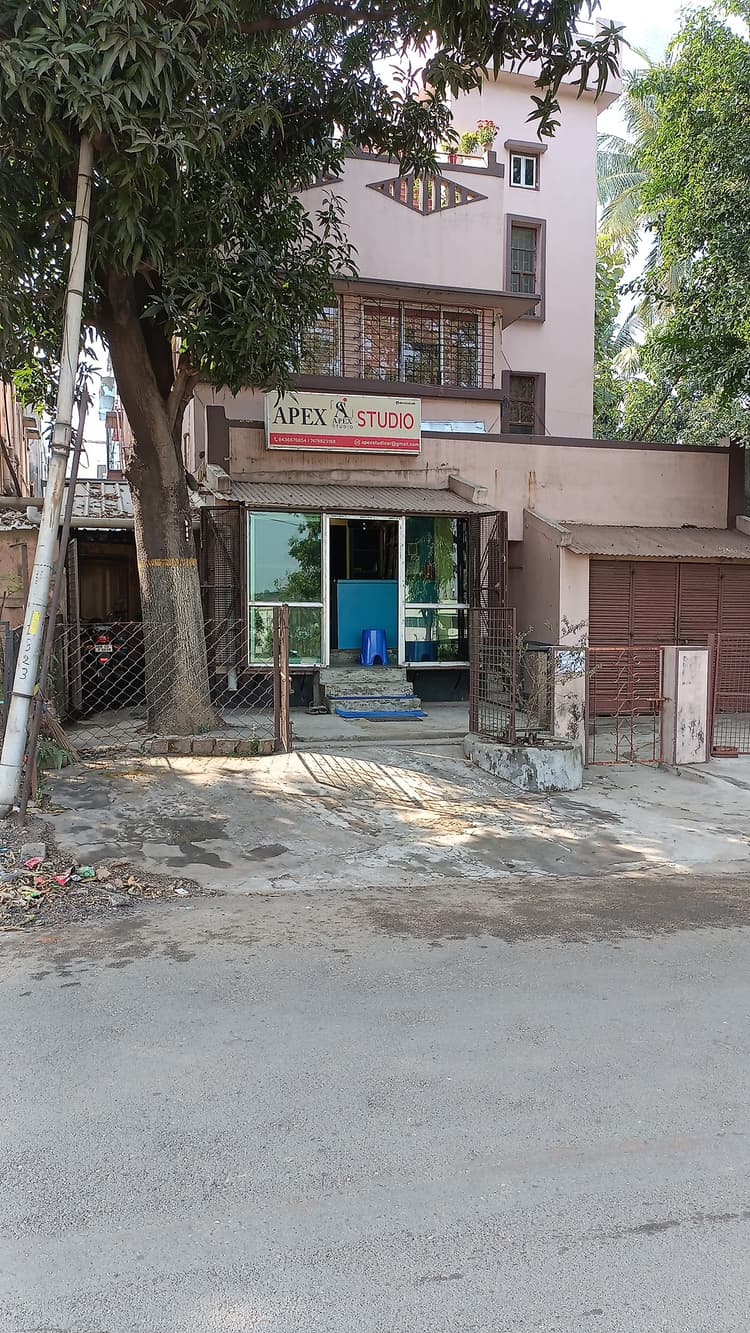 Apex Studio image 10