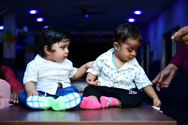 Apex Studio image 11