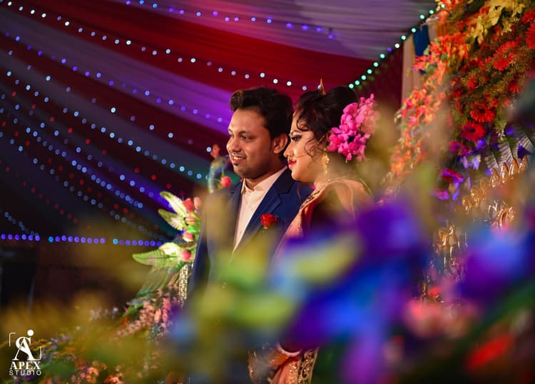 Apex Studio image 13