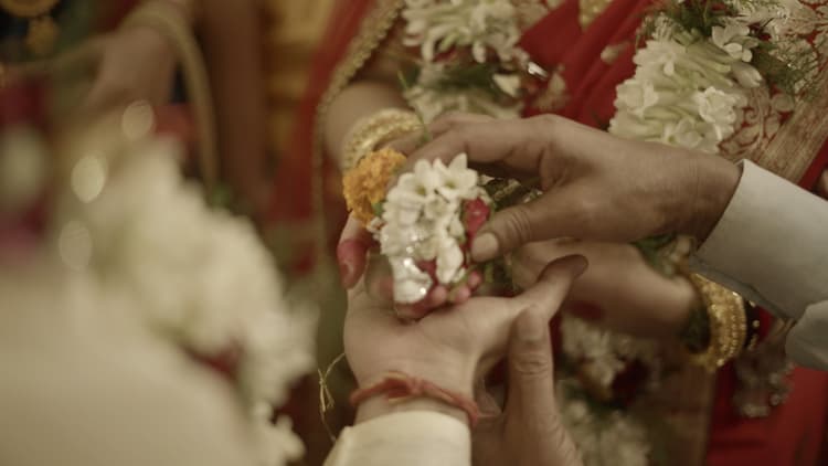 Fusion Lensy image 2