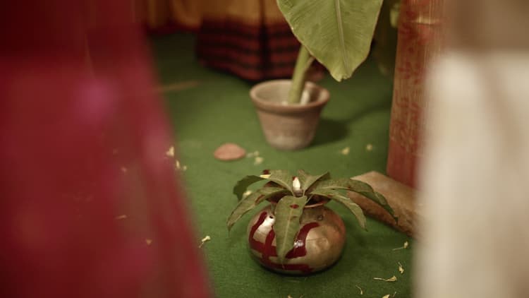 Fusion Lensy image 5