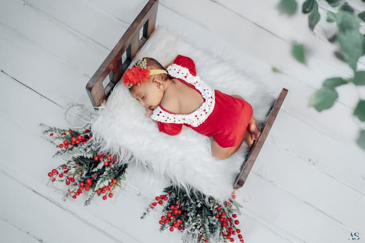 Fusion Lensy image 8