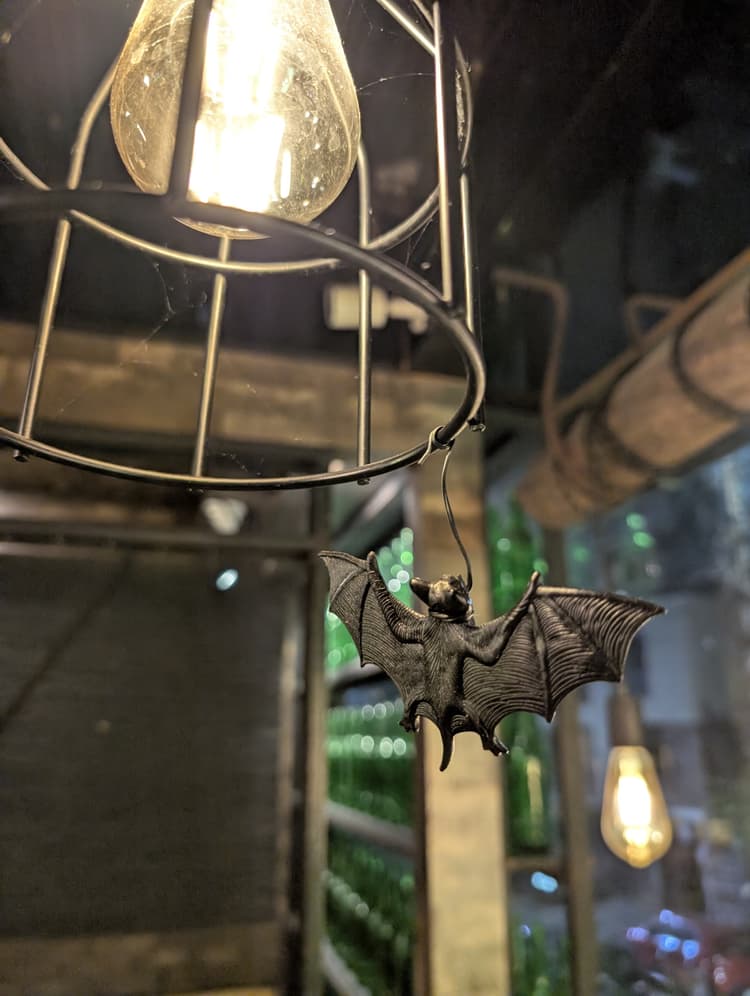 Hola kolkata image 5