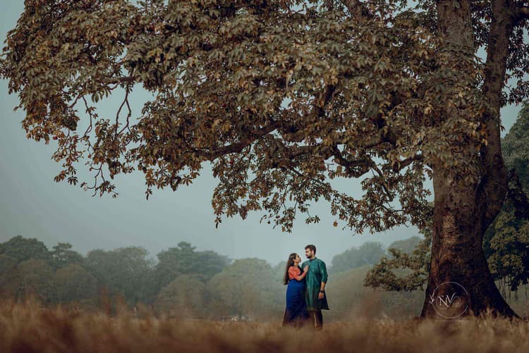 Naanis Video image 30