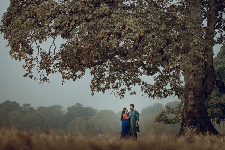 Naanis Video image 4