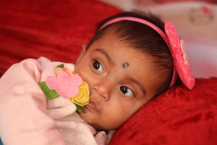 Studio Light image 22