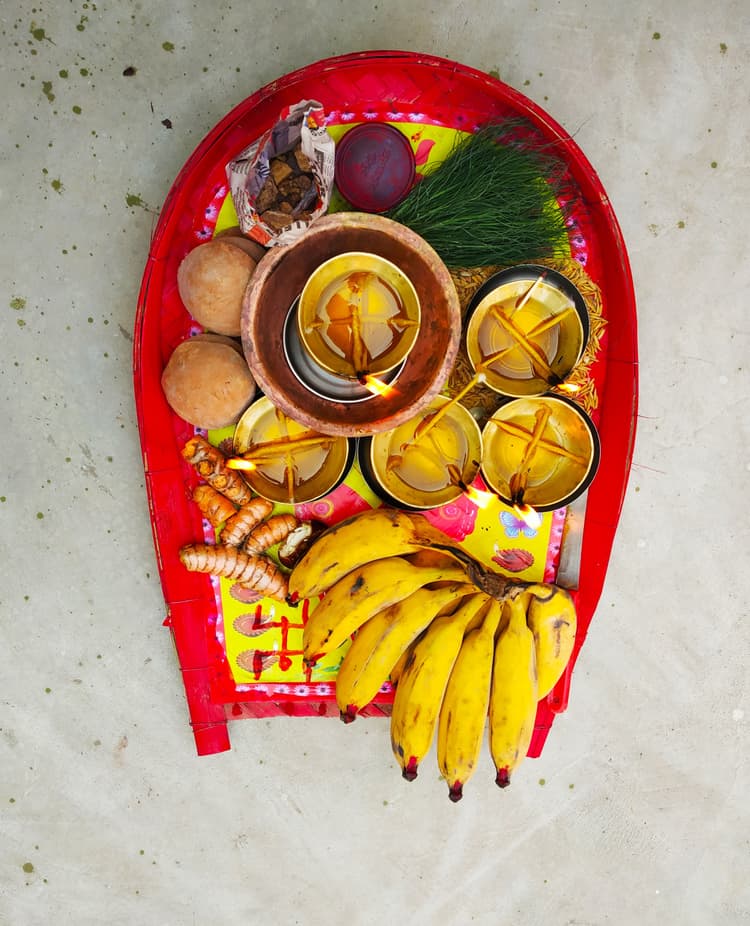 Sudha Kunja image 11