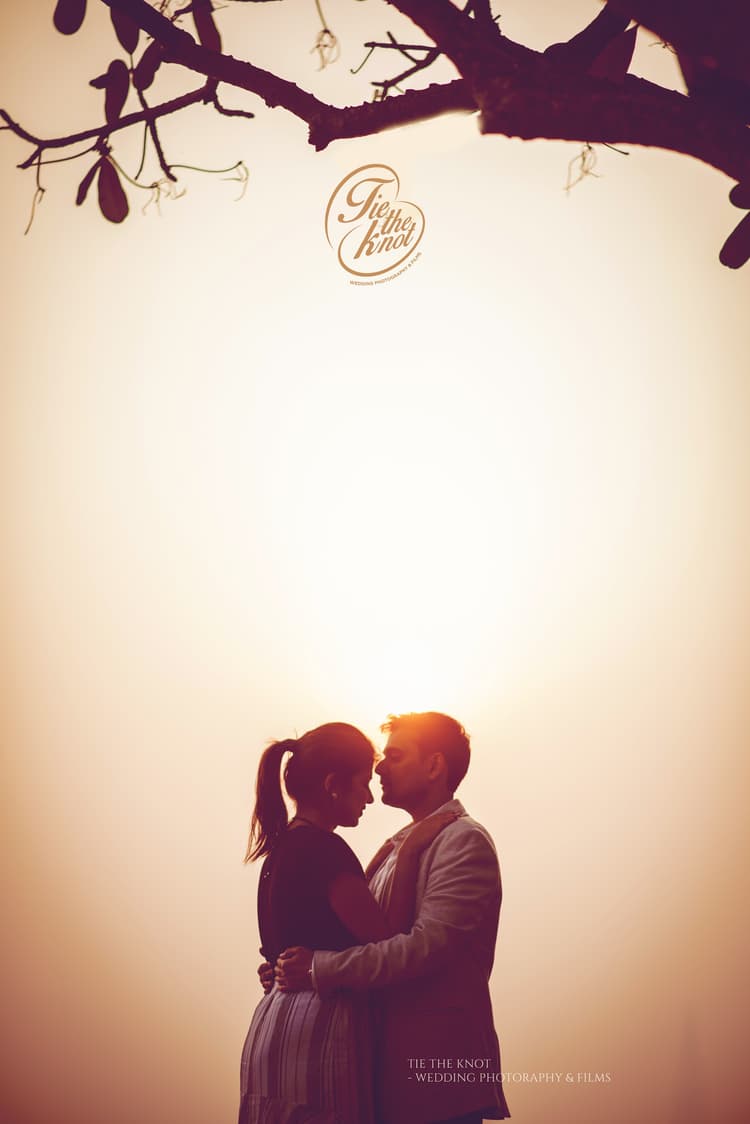 Tie the Knot image 3