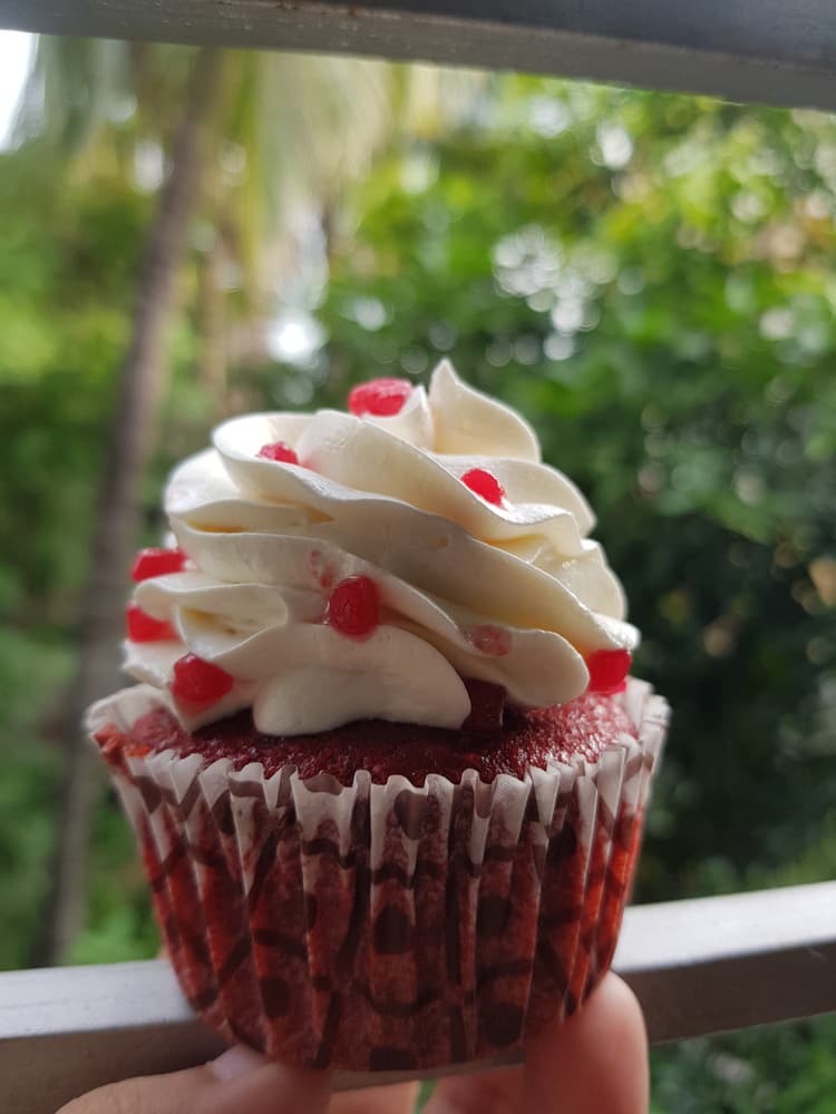 Wanilia’s image 14