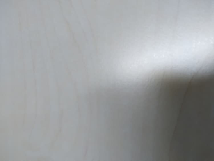 Picsaura Studio image 8