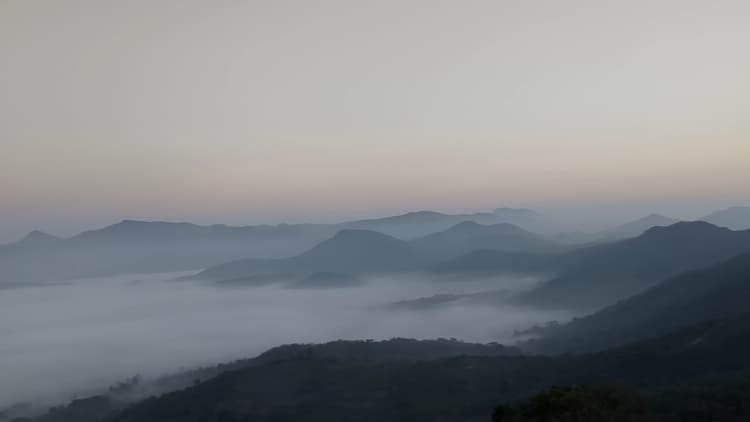 Arpon Photography image 8