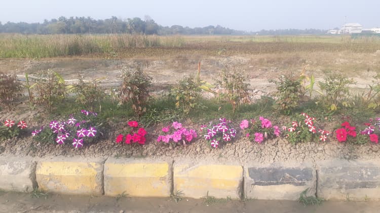 Boltota Farms image 8
