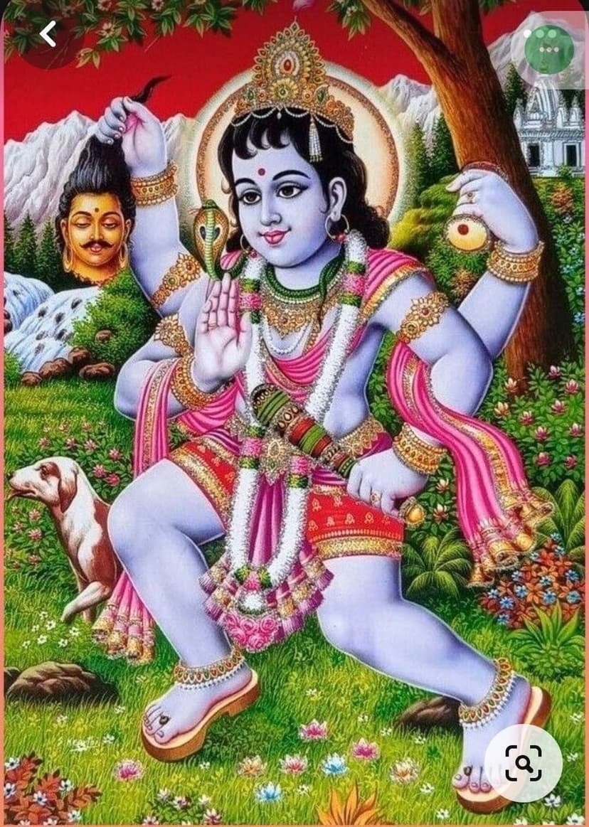 Gallery Image 6
