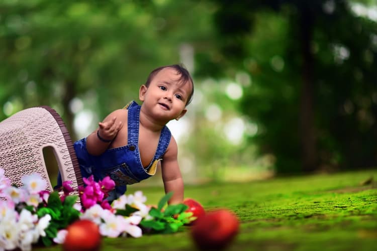 Goutam Creation image 2