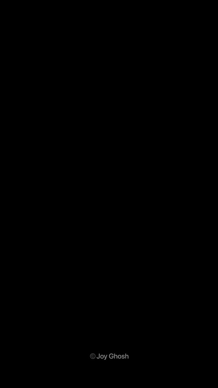 Just Click Entertainment image 3