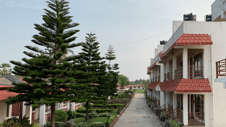 Massara Beach Resort image 7