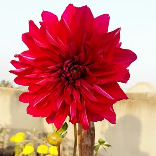 Pubali's Makeover image 8
