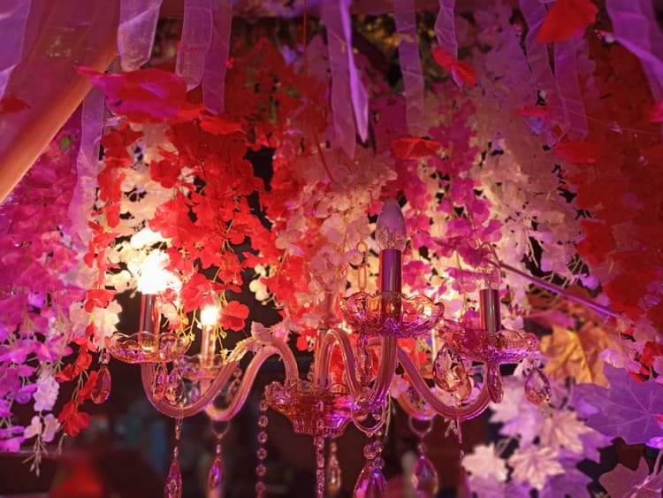 Raj Darbar Banquet Hall image 14