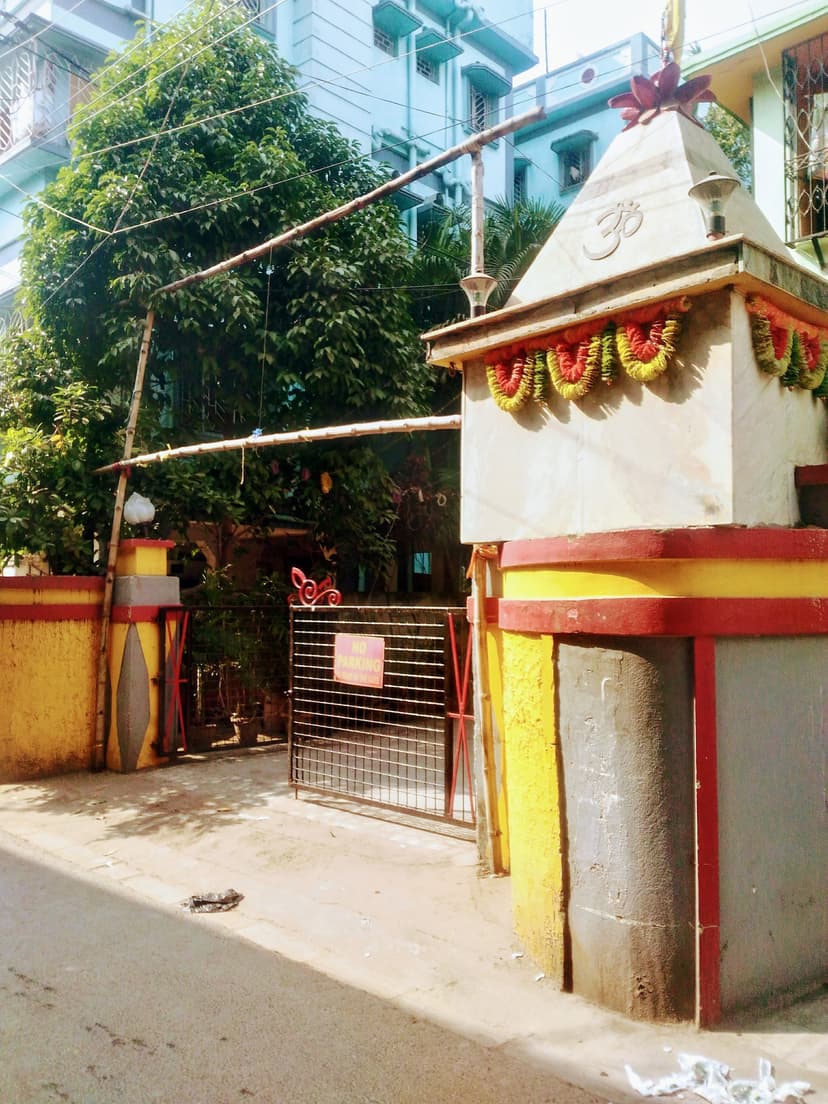 Gallery Image 2