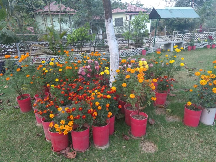 Tea Leaf Resort image 13