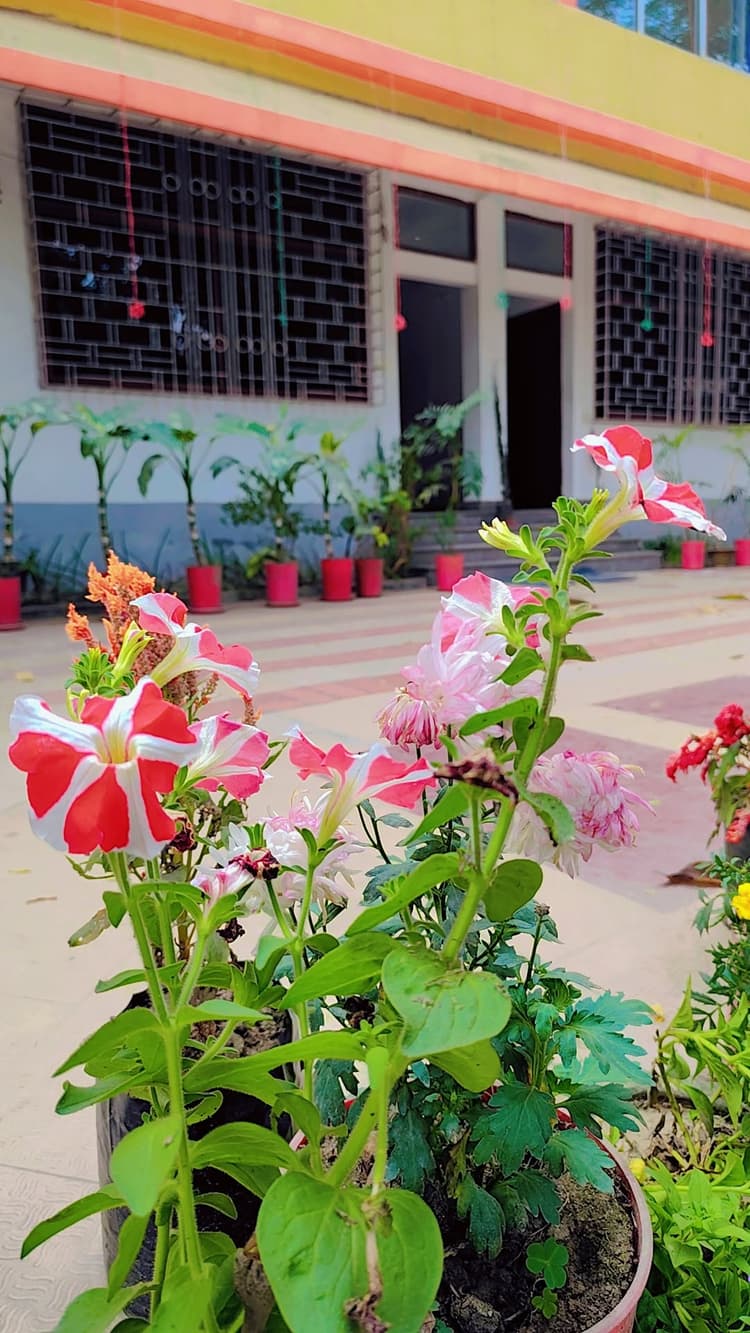 Tea Leaf Resort image 14
