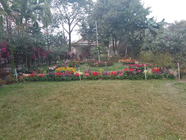 Tea Leaf Resort image 5