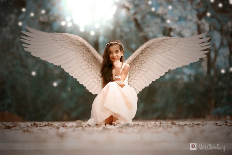 Vivek Chowdhary Photography image 1
