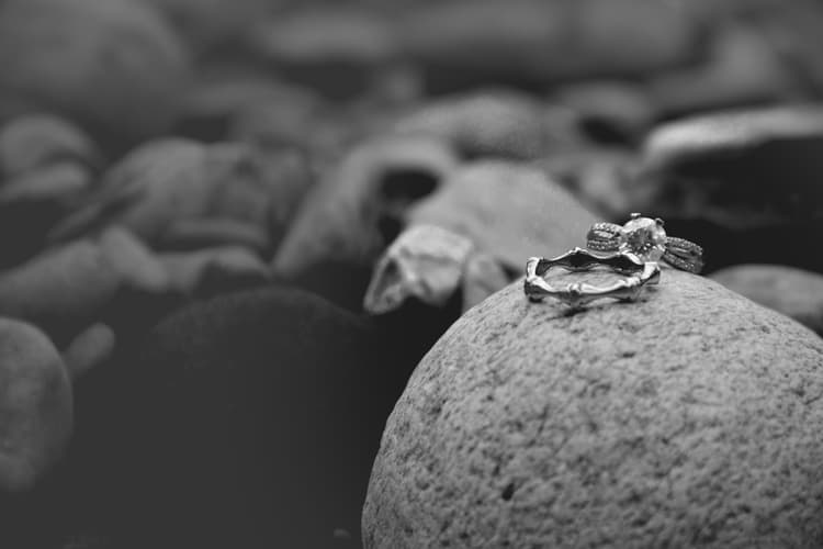 Wedding Motion image 1